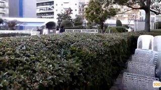 99热5在线视频精品